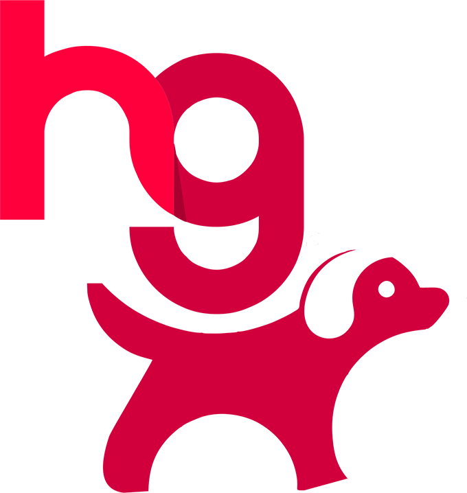 Logo HG Studio